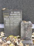 image of grave number 353520